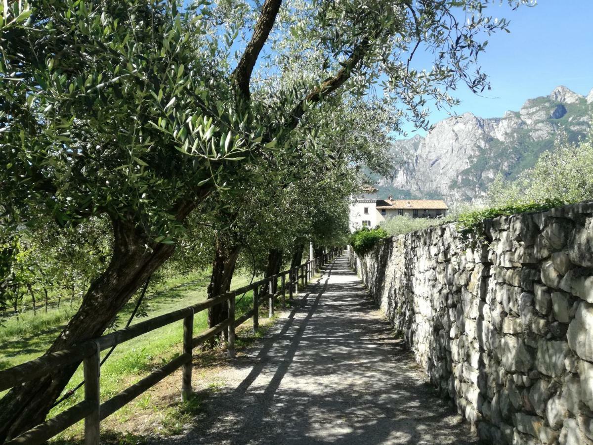 Appartamento Giardino Sugli Ulivi Riva del Garda Exterior photo